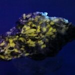 Wollastonite Healing Mineral ~56mm