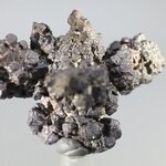 Prophecy Stone (Limonite after Marcasite) ~44mm