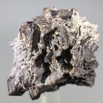 Prophecy Stone (Limonite after Marcasite) ~47mm