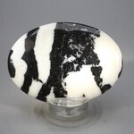 Zebra Jasper Palmstone (Extra Grade) ~70x50mm