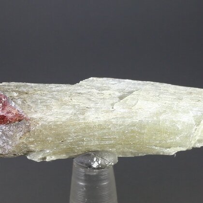 Agrellite & Eudialyte Healing Mineral ~45mm