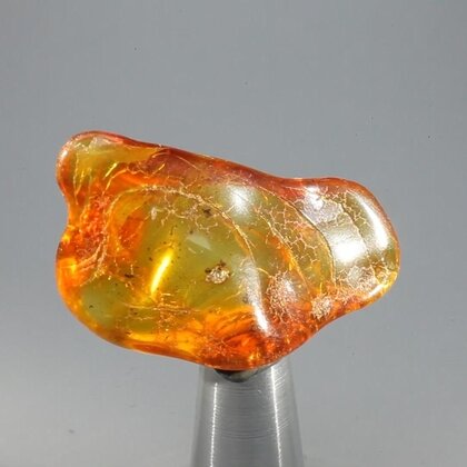 Amber Tumblestone ~39mm