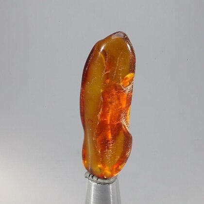 Amber Tumblestone ~42mm