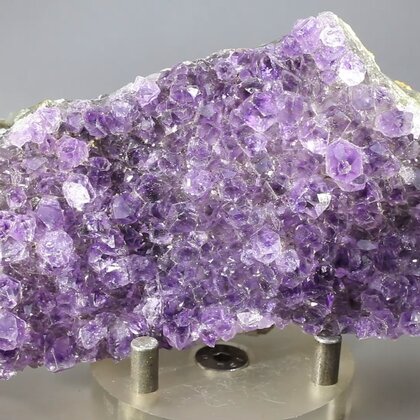 Amethyst Cluster ~98 x 55mm