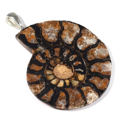Ammonite Fossil 925 Silver Pendant ~40-45mm