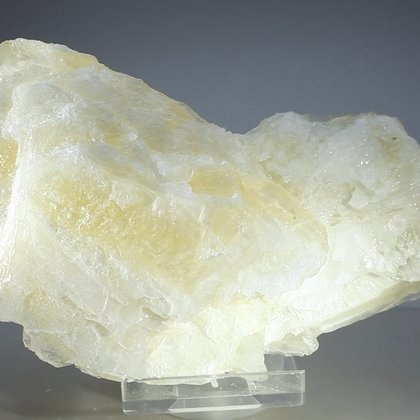 Angel Wing Calcite Healing Crystal ~140mm
