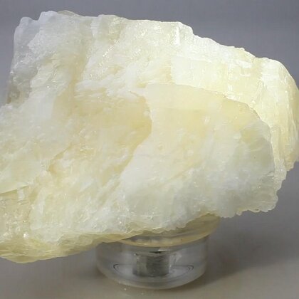 Angel Wing Calcite Healing Crystal ~75mm