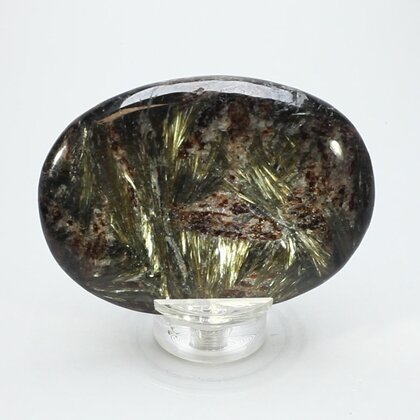 Astrophyllite Palmstone (Extra Grade) ~70x50mm