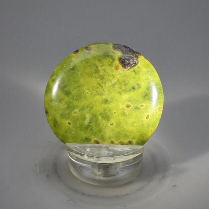 Atlantisite Flat Tumblestone ~38mm