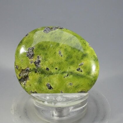 Atlantisite Flat Tumblestone ~38mm