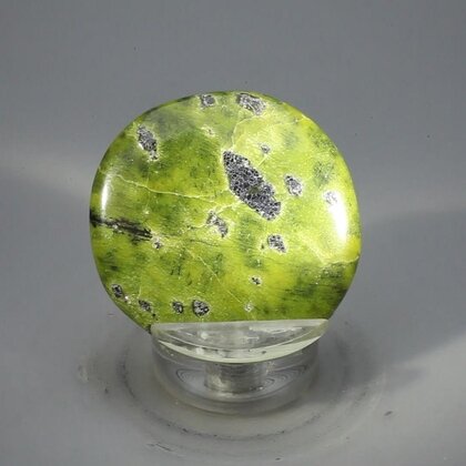 Atlantisite Flat Tumblestone ~39mm