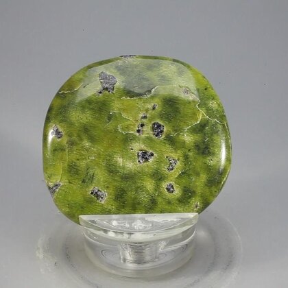 Atlantisite Flat Tumblestone ~41mm