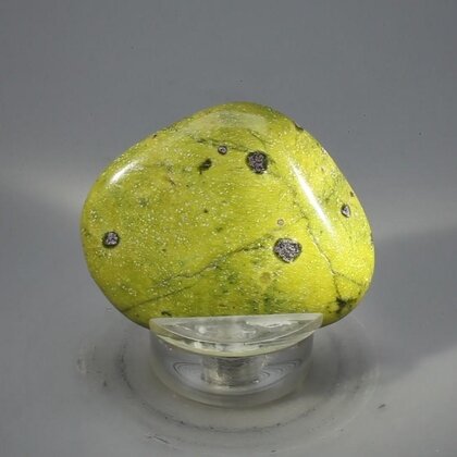 Atlantisite Flat Tumblestone ~43mm