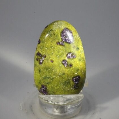 Atlantisite Flat Tumblestone ~45mm