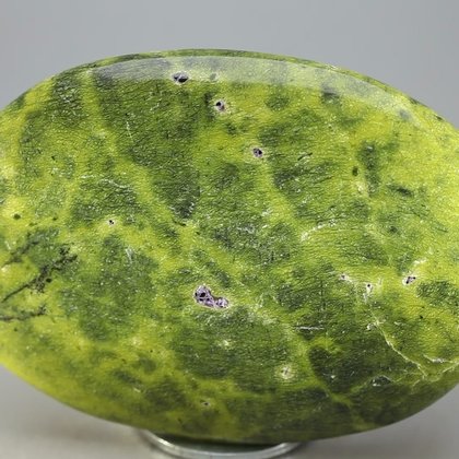 Atlantisite Palmstone (Extra Grade) ~70 x 50 mm