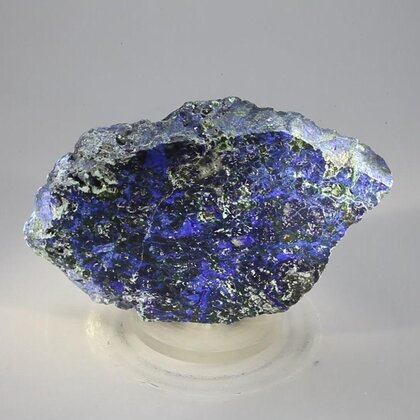 Azurite & Malachite Polished Slice ~71mm