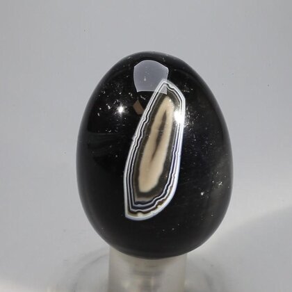 Black Banded Onyx Egg  ~49mm