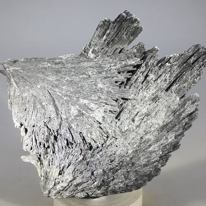 Black Kyanite Healing Crystal ~85mm