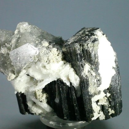 RARE Black Tourmaline Mineral Specimen with Cleavelandite ~55mm