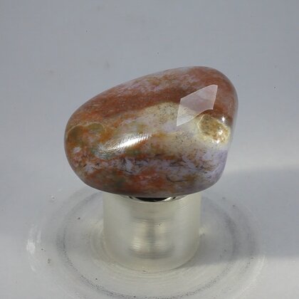 Bloodstone Tumblestone (Extra Grade) ~32mm