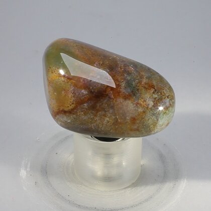 Bloodstone Tumblestone (Extra Grade) ~36mm