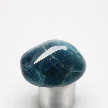 Blue Apatite Tumblestone  ~32mm