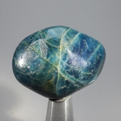 Blue Apatite Tumblestone  ~37mm