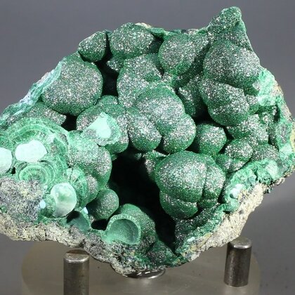 Botryoidal Malachite & Chrysocolla Healing Mineral ~65mm