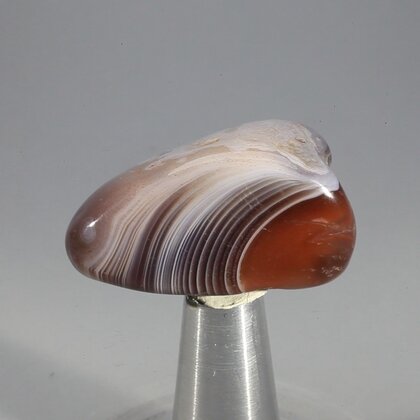 Botswana Agate Tumblestone ~31mm