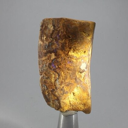 Boulder Opal   ~51mm