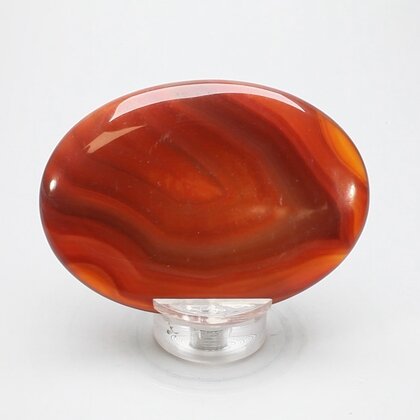 Carnelian Palmstone (Extra Grade) ~70x50mm