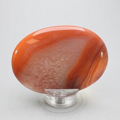 Carnelian Palmstone (Extra Grade) ~70x50mm