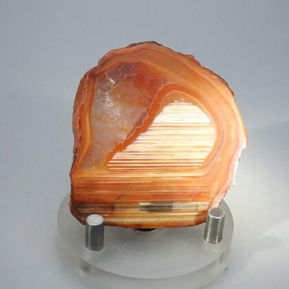 Carnelian Polished Slab ~50x46mm
