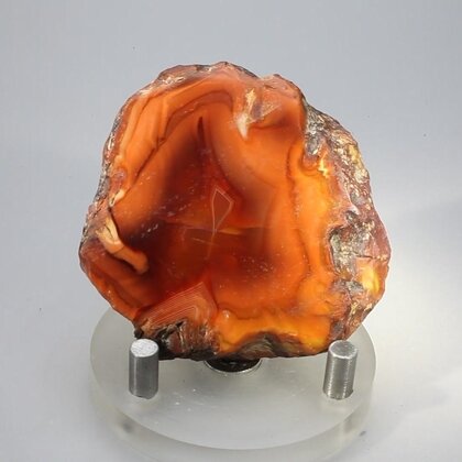 Carnelian Polished Slab ~51x49mm
