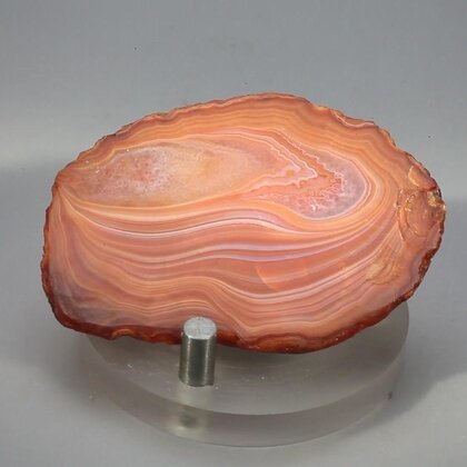 Carnelian Polished Slab ~55x38mm