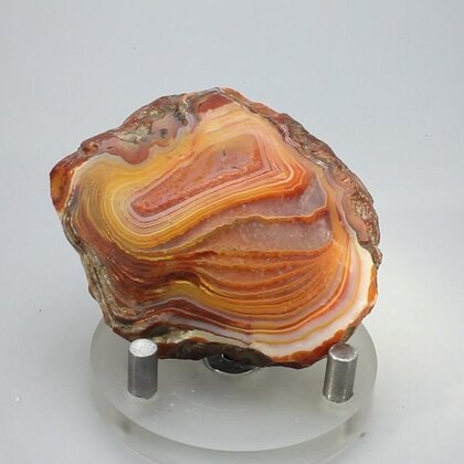 Carnelian Polished Slab ~58x47mm