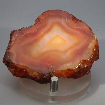 Carnelian Polished Slab ~62x46mm