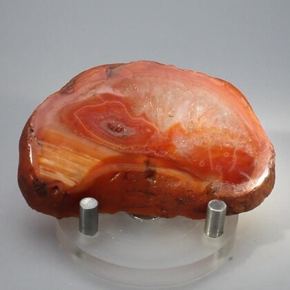 Carnelian Polished Slab ~66x41mm