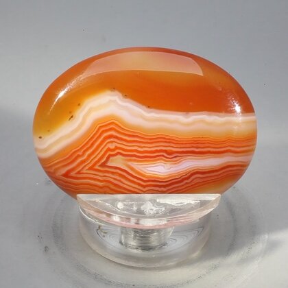 Carnelian Thumbstone(Extra Grade) ~40x30mm