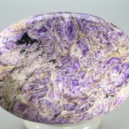 Charoite Palmstone (Extra Grade) ~70 x 50 mm
