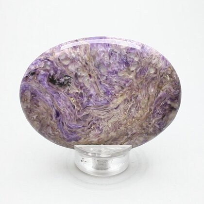 Charoite Palmstone (Extra Grade) ~70x50mm