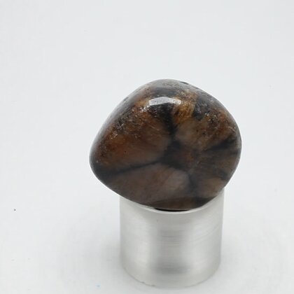 Chiastolite Polished Stone ~24mm