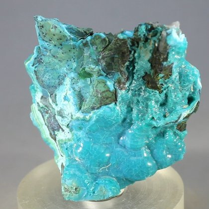 Chrysocolla Mineral Specimen ~40mm
