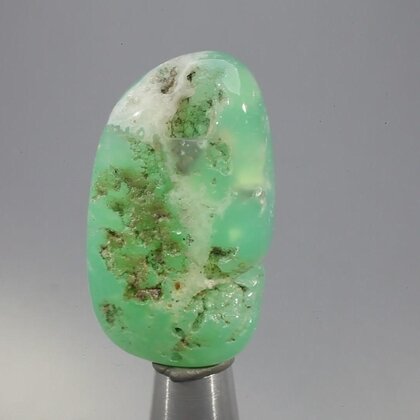 Chrysoprase Tumblestone ~36mm