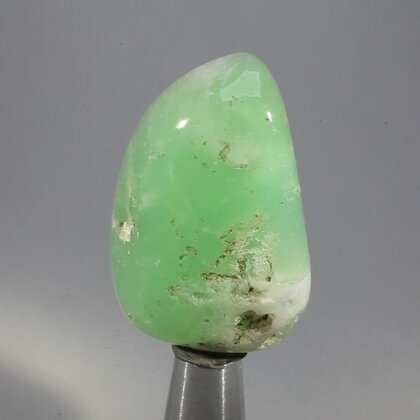 Chrysoprase Tumblestone ~40mm