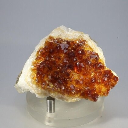 Citrine Cluster ~58mm