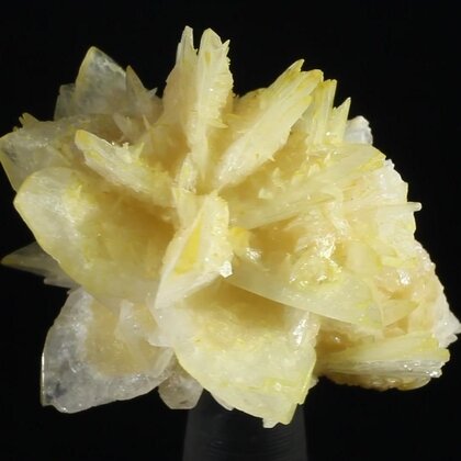 Colemanite Healing Mineral ~37mm