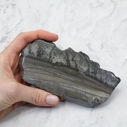 Cotham Marble Polished Slice ~137mm