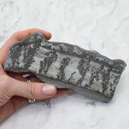 Cotham Marble Polished Slice ~148mm