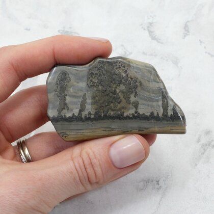 Cotham Marble Polished Slice ~62mm